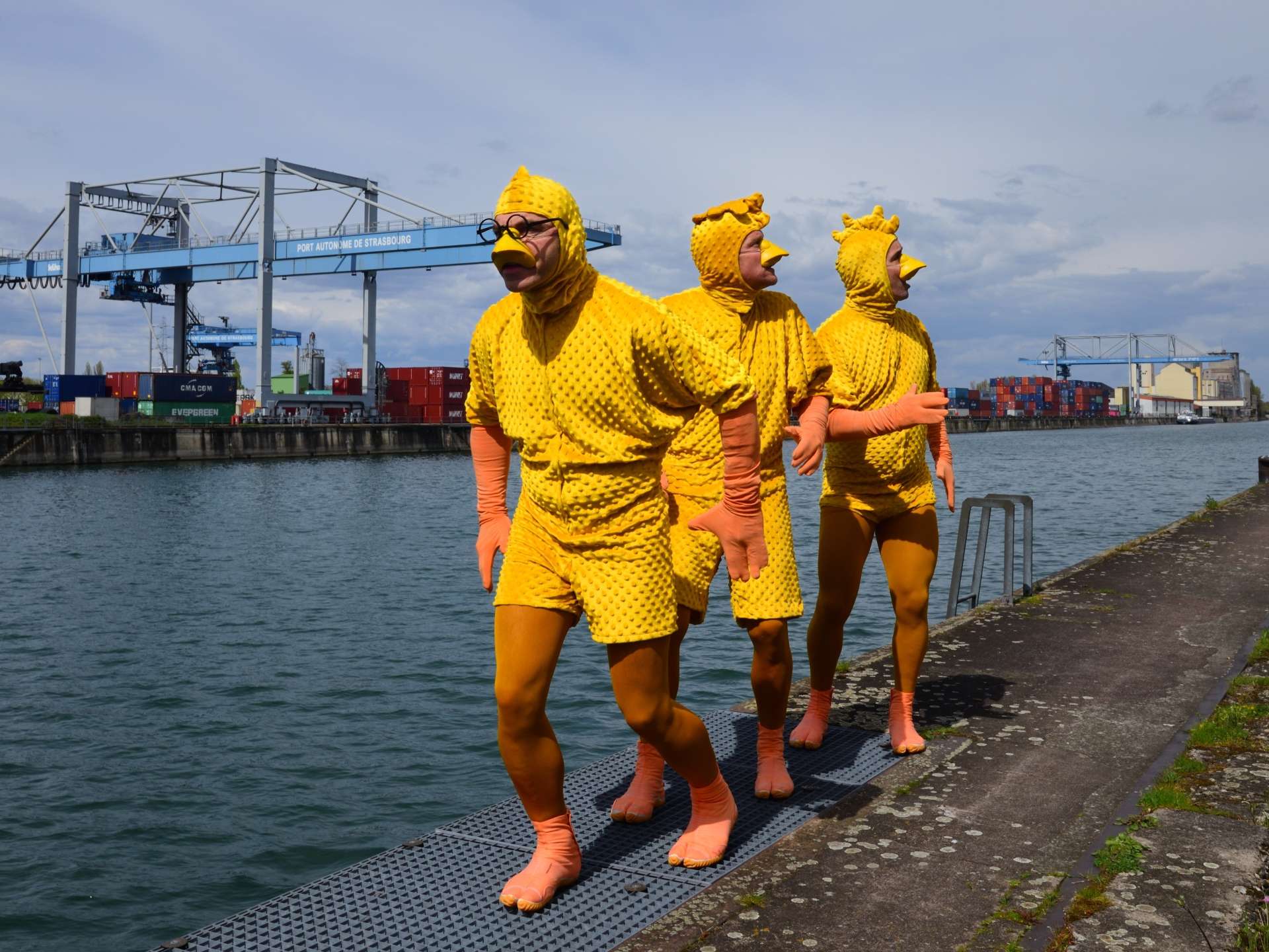 3 hommes déguisés en canetons marchent à côté de l'eau.